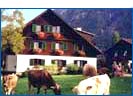 Haus Stangl